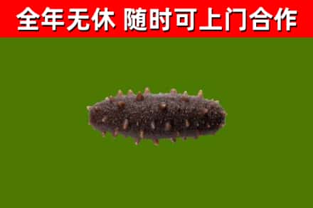 铁岭县烟酒回收干海参.jpg